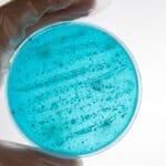 Popular Peptides